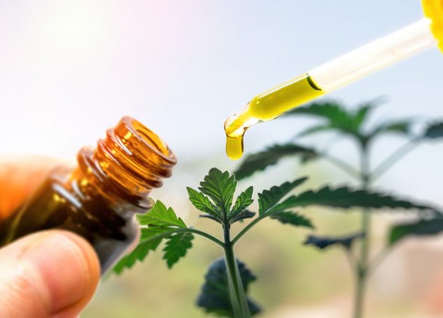 What is CBD? Get up to speed with this beginner’s guide.